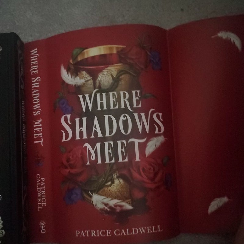 Where Shadows Meet