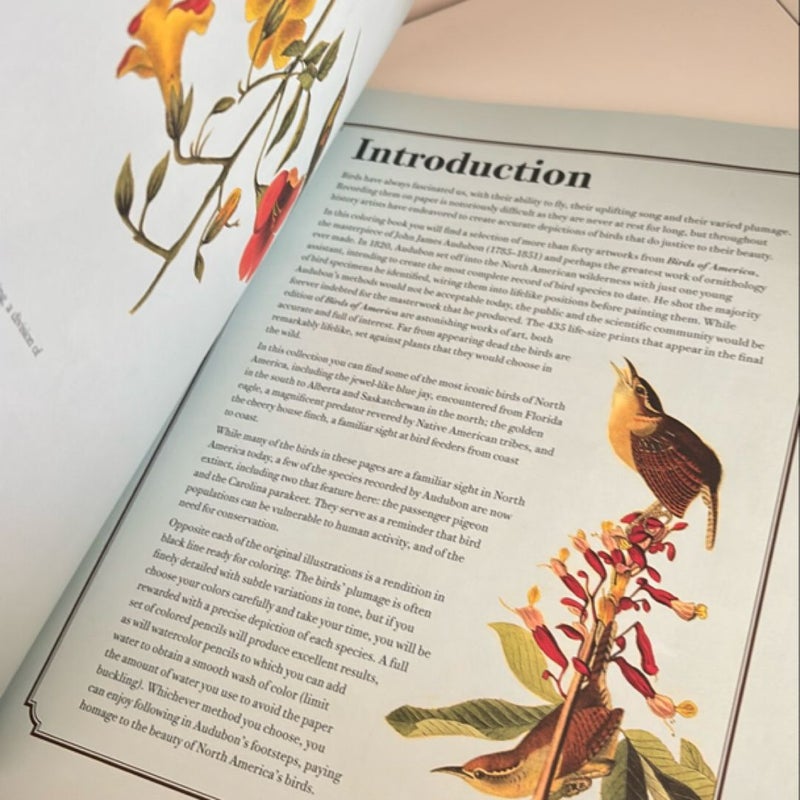 The Audubon Birds Coloring Book