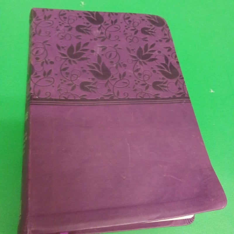 NIV Rainbow Study Bible, Purple LeatherTouch Indexed