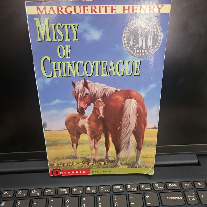 Misty of Chincoteague