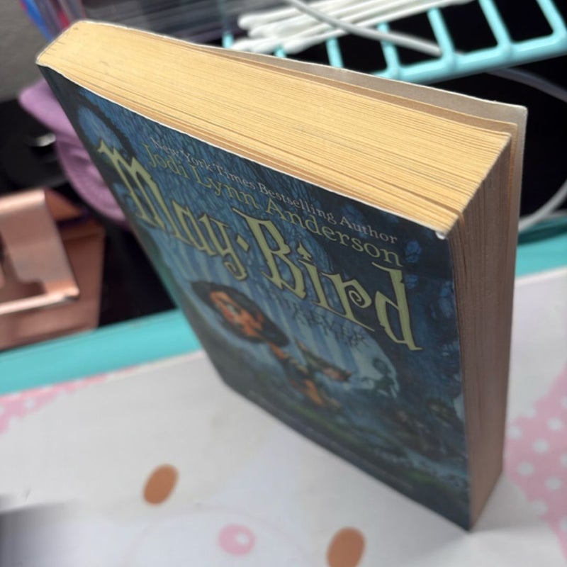 May Bird and the Ever After
