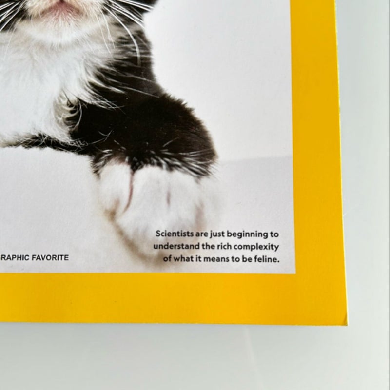 SPECIAL Publication National Geographic. The Secret Life of Cats.