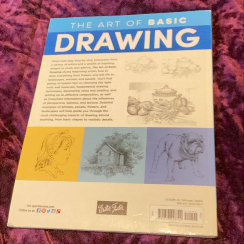 The Art of Basic Drawing