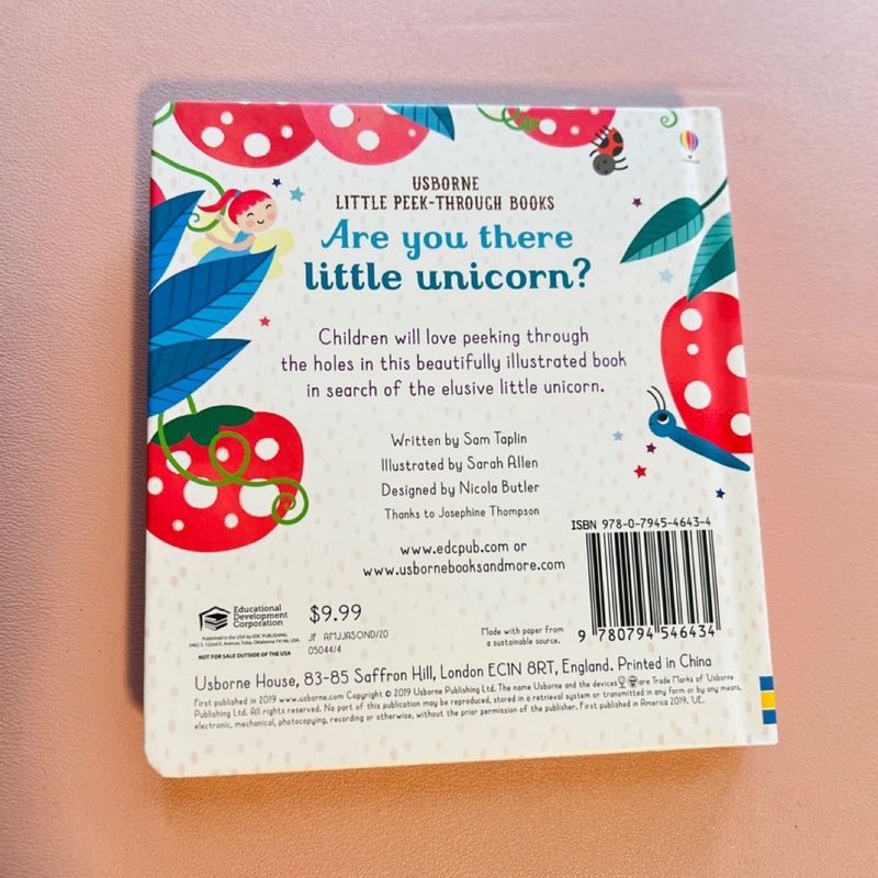 Are You There Little Unicorn?