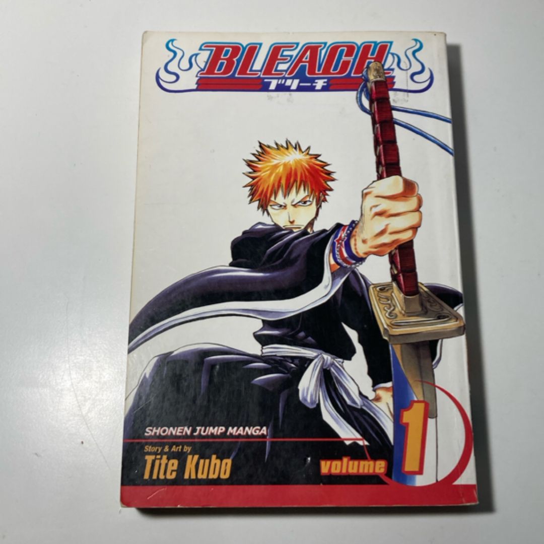 Bleach, Vol. 1