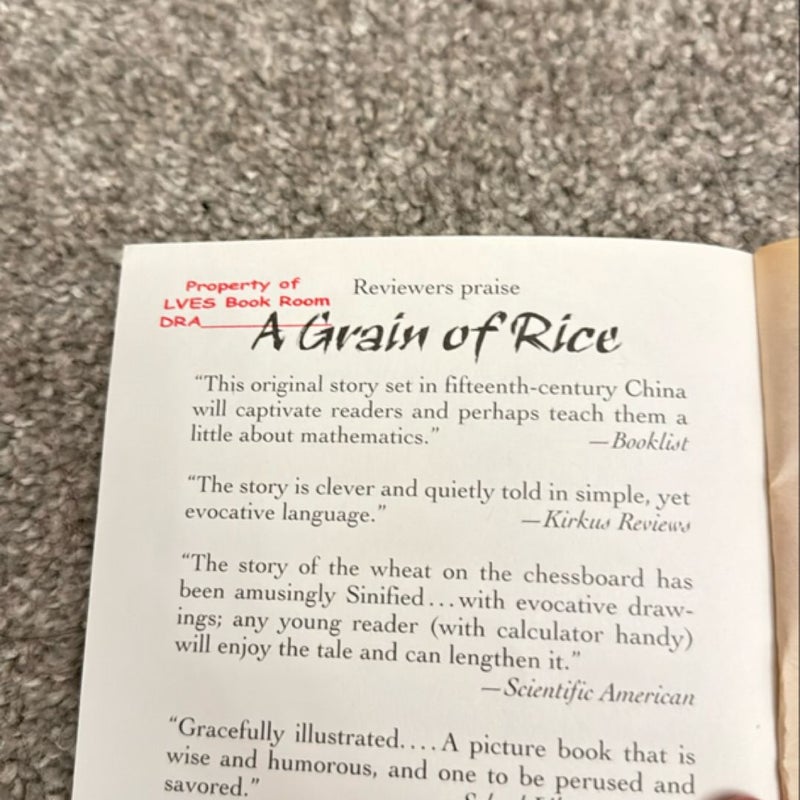 A Grain of Rice