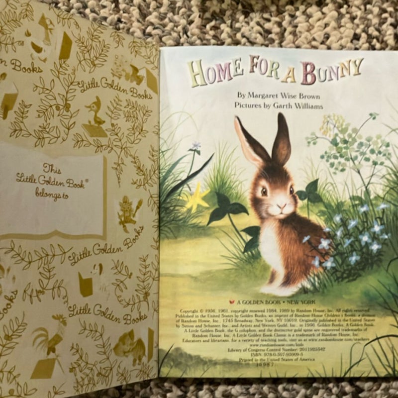 Home for a Bunny