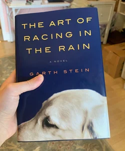 The Art of Racing in the Rain