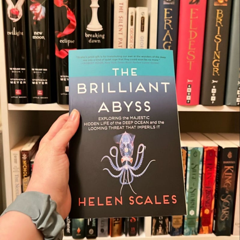 The Brilliant Abyss