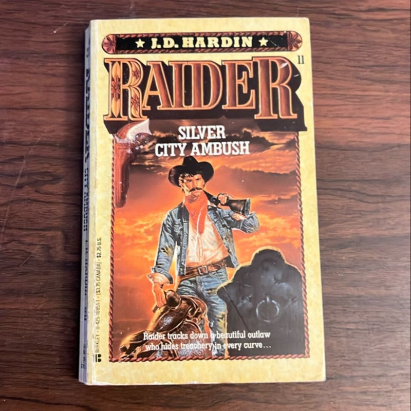 Raider: Silver City Ambush