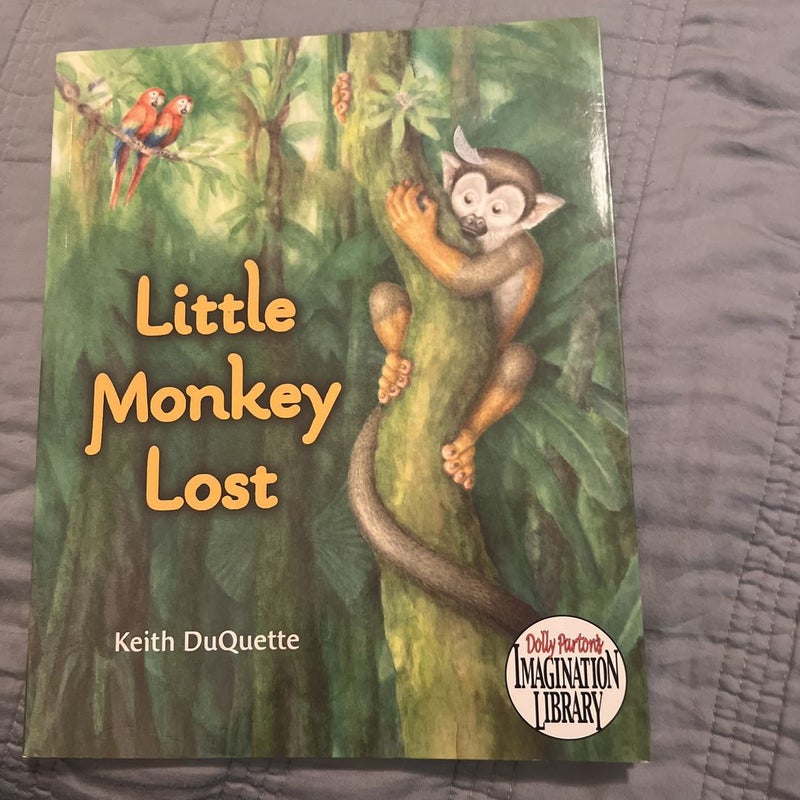 Little monkey lost 
