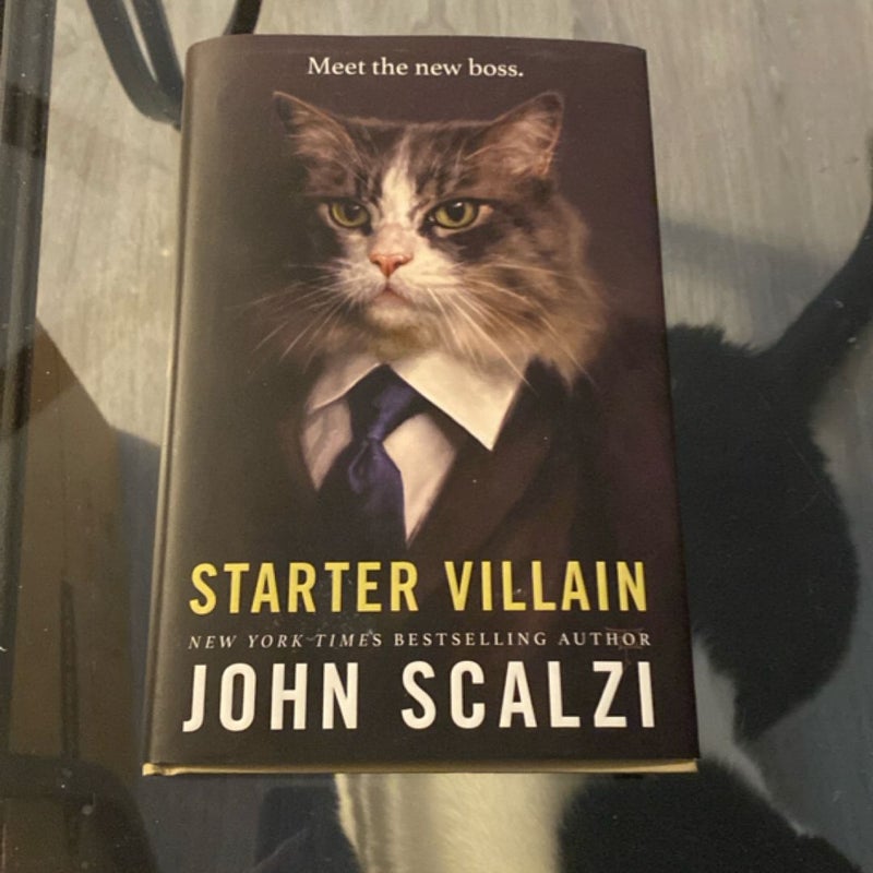 Starter Villain