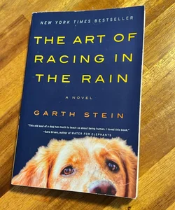 The Art of Racing in the Rain