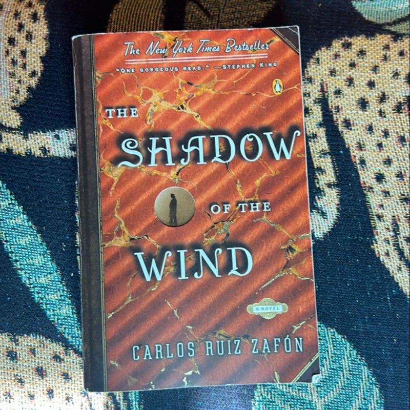 The Shadow of the Wind