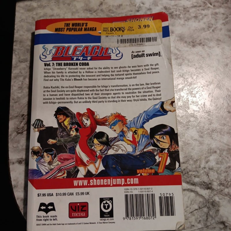 Bleach, Vol. 7