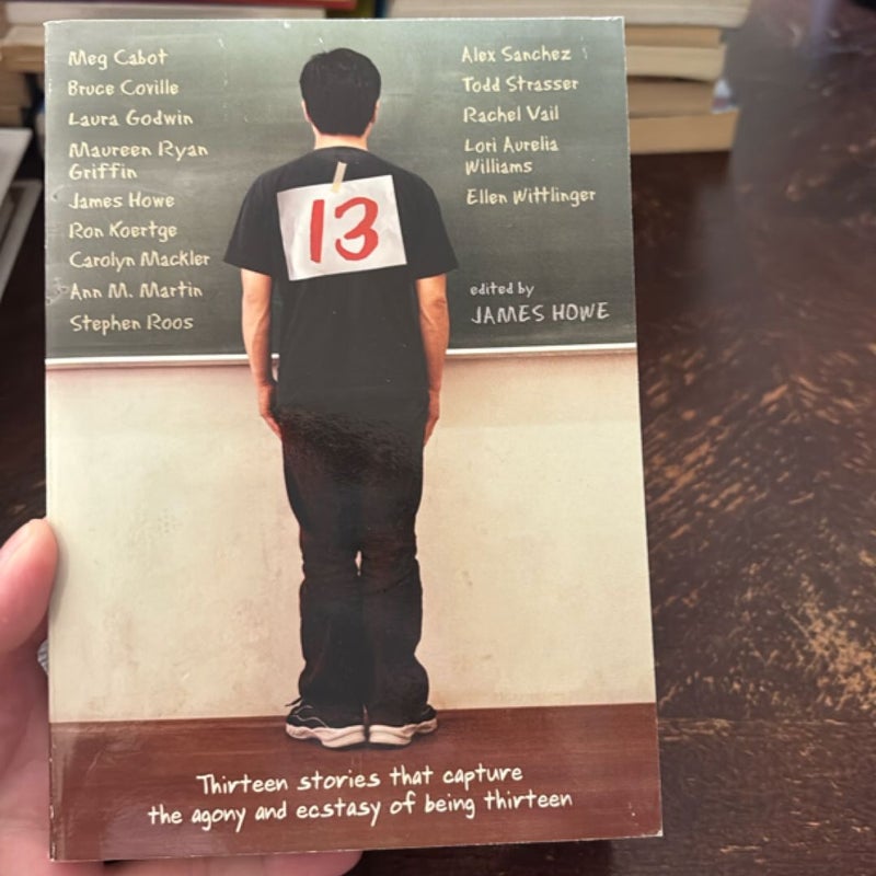 Thirteen 