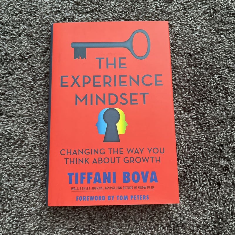 The Experience Mindset