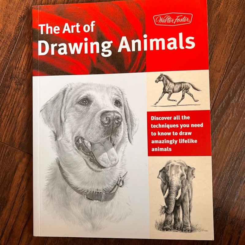 The Art of Drawing Animals