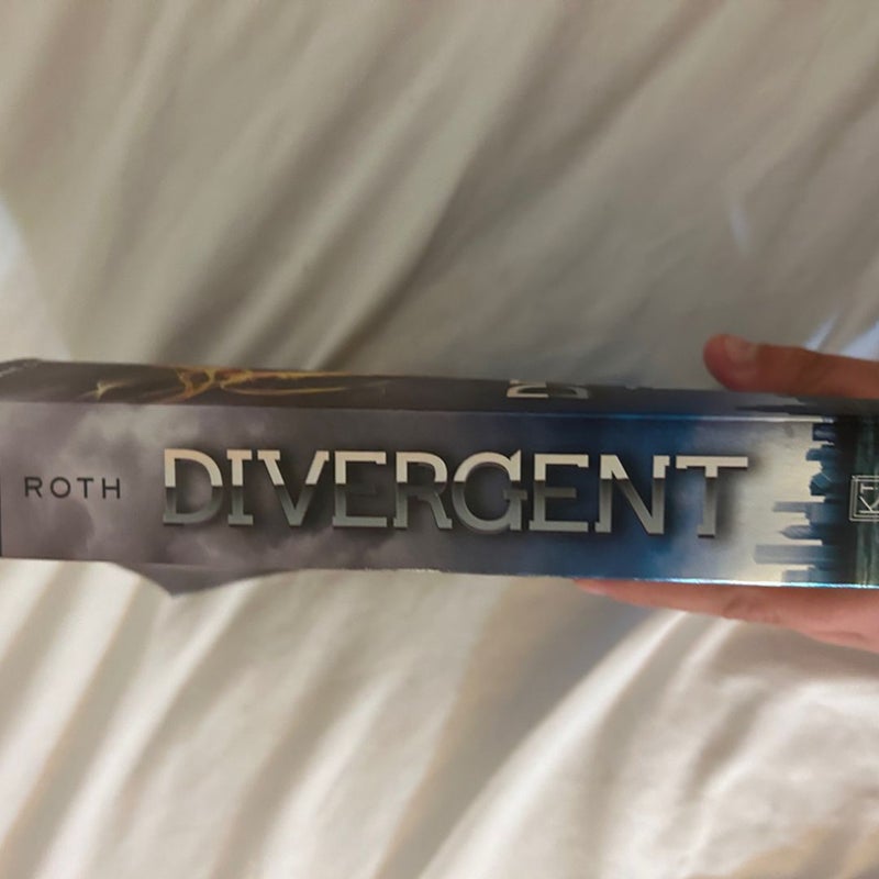 Divergent Series 1-4