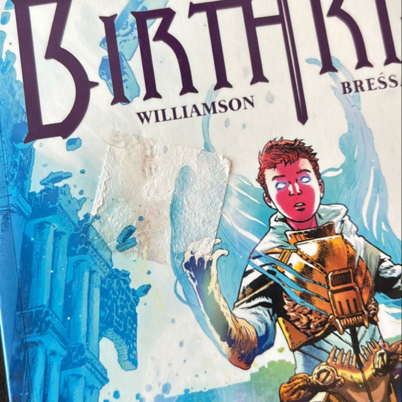 Birthright Volume 4: Family History