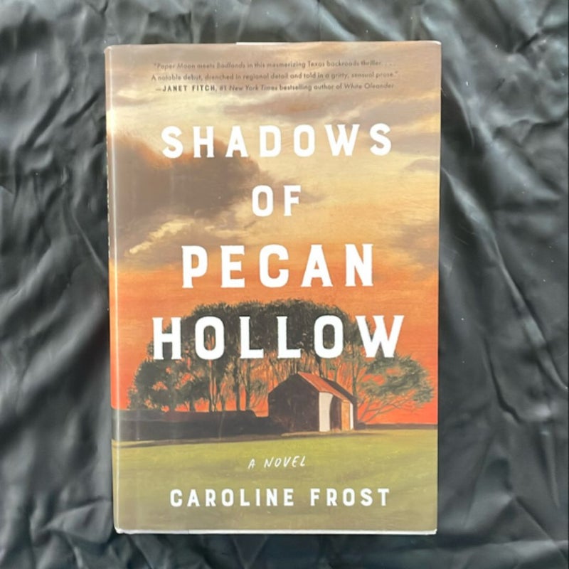 Shadows of Pecan Hollow