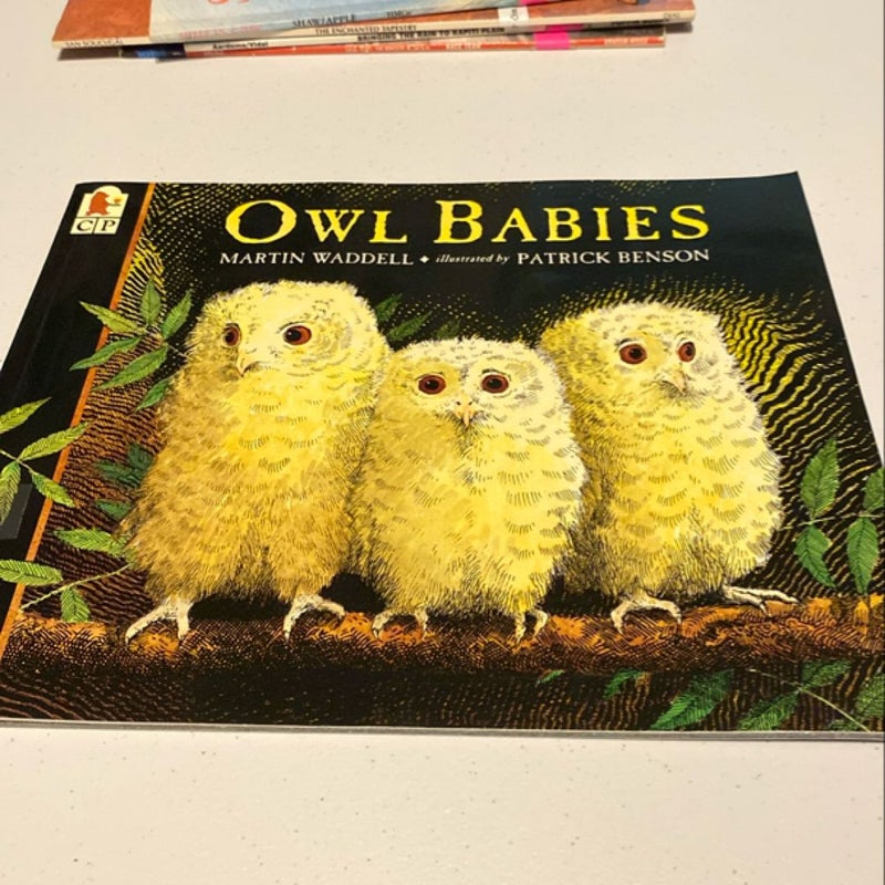 Owl Babies