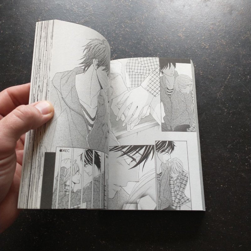 LDK 19-20 (Omnibus)