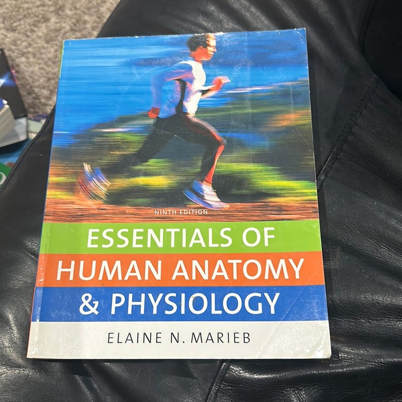 Essentials of Human Anatomy and Physiology