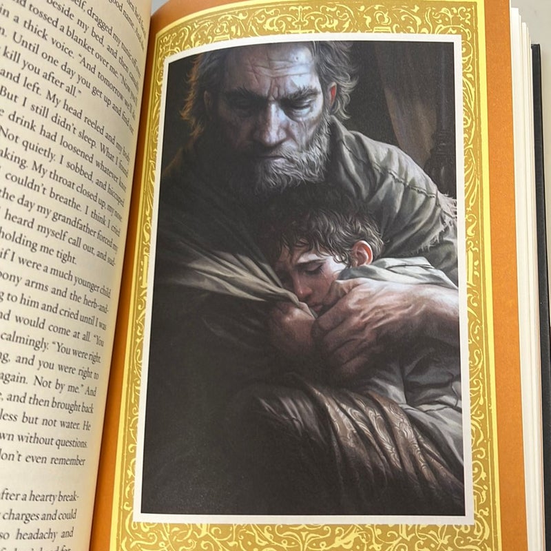 Assassin's Apprentice (the Illustrated Edition)