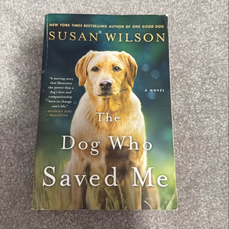 The Dog Who Saved Me