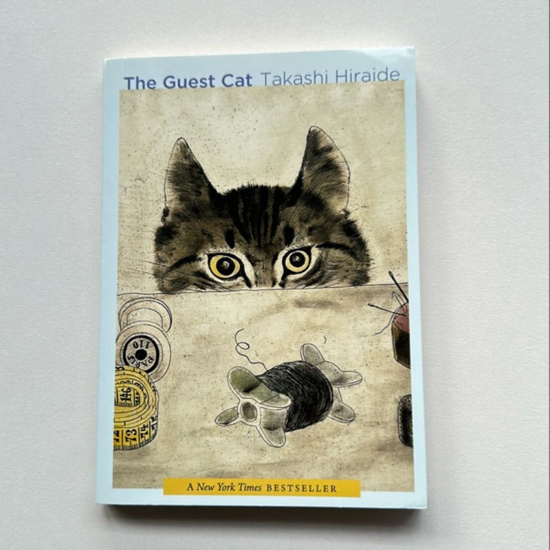 The Guest Cat