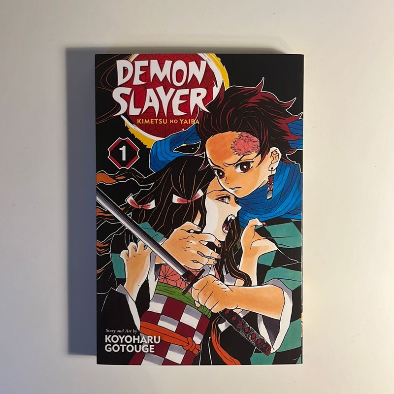 Demon Slayer: Kimetsu No Yaiba, Vol. 1