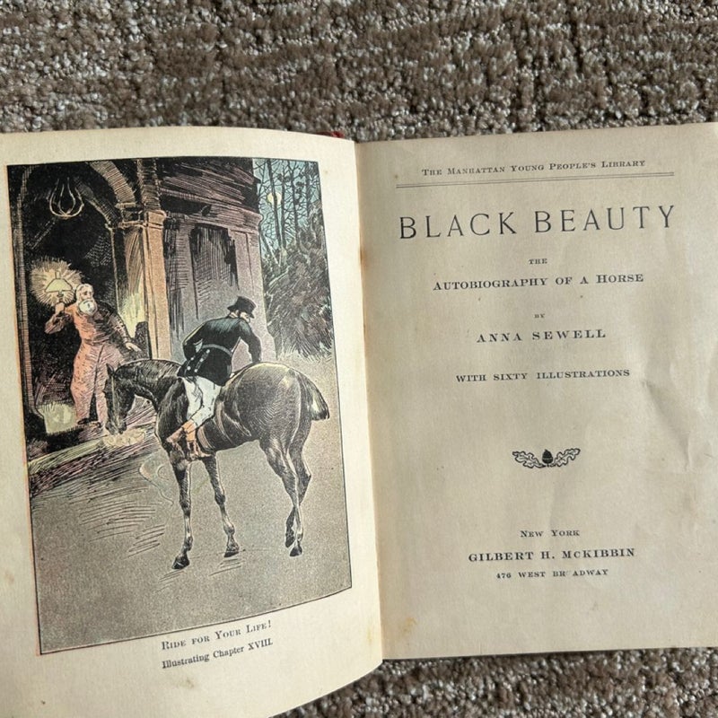 Black Beauty: The Autobiography of a Horse