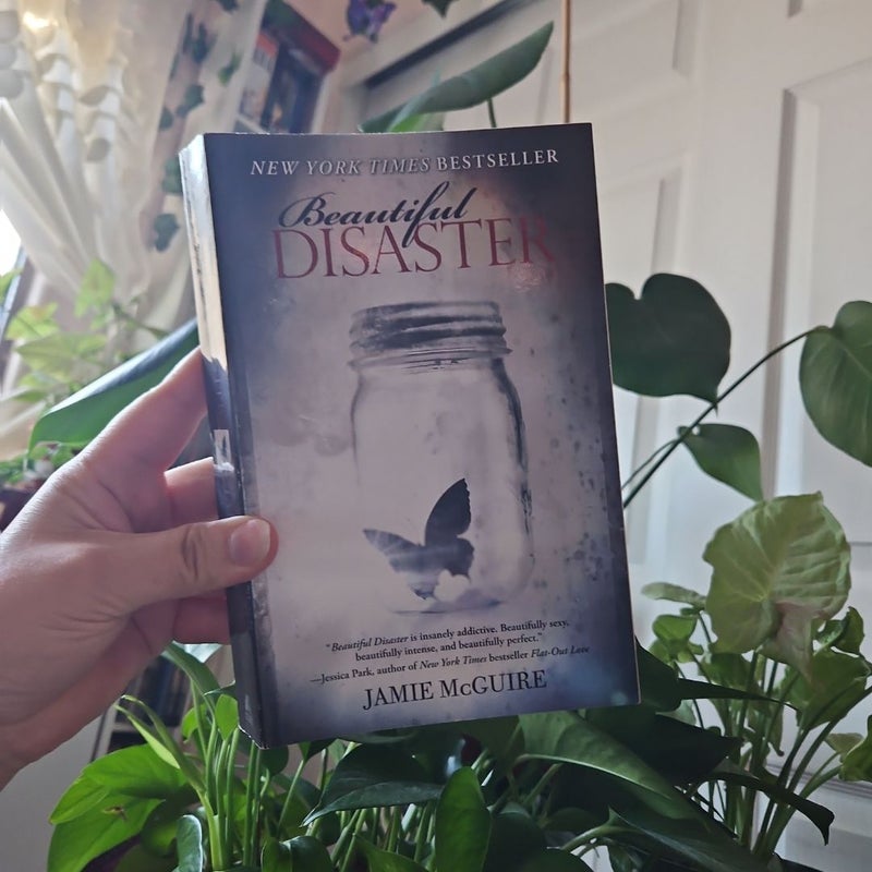 Beautiful Disaster