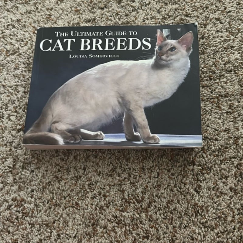 Ultimate Guide to Cat Breeds