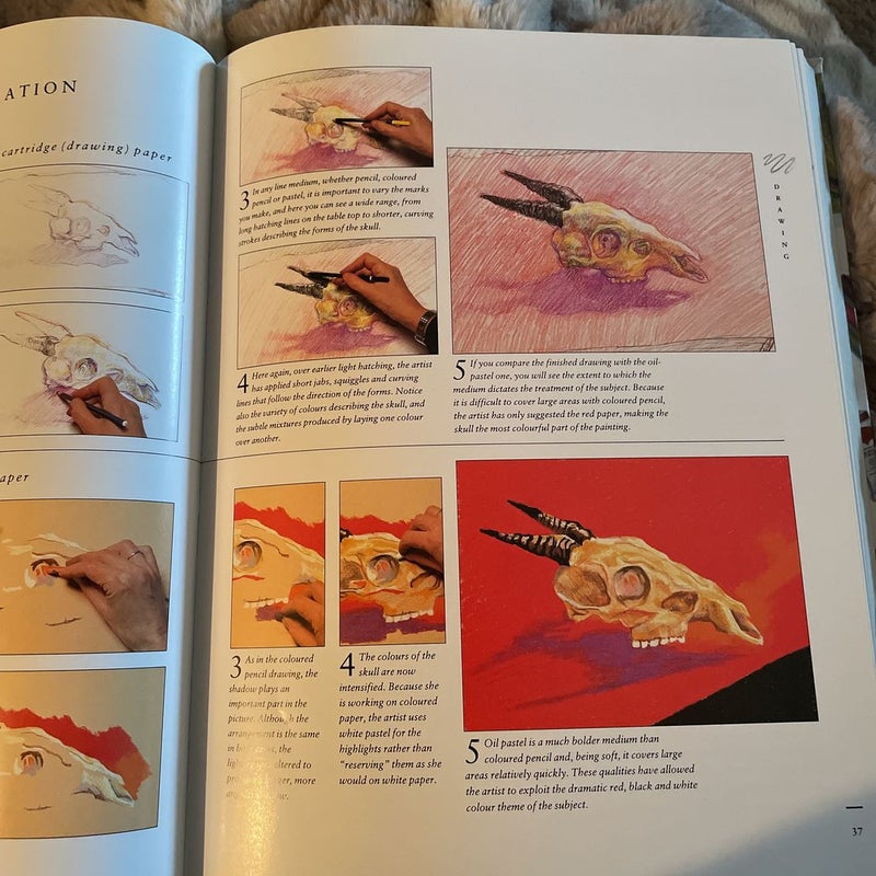 How to Paint and Draw by Hazel Harrison, Paperback Pango Books