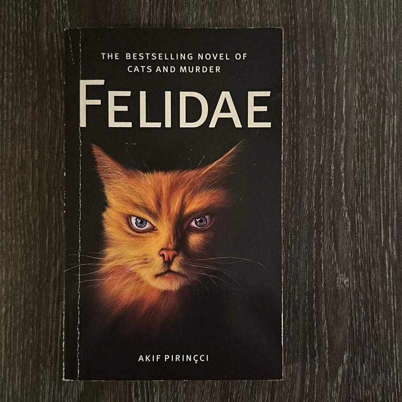 Felidae