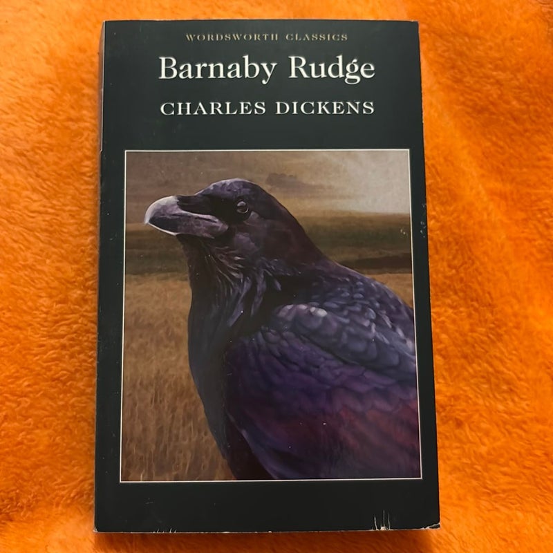 Barnaby Rudge (German Edition)