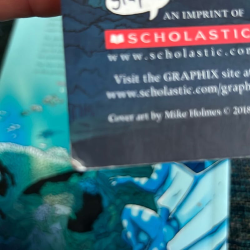 Wings of Fire The Dragonet Prophecy and The Lost Heir