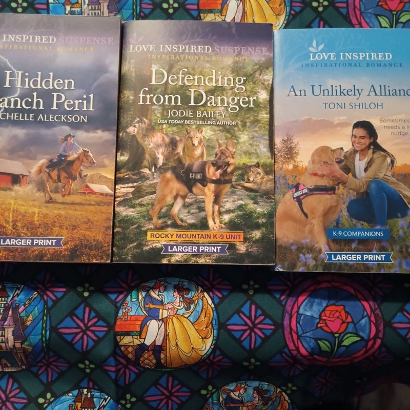 Harlequin Romance Love Inspired bundle (21 books)