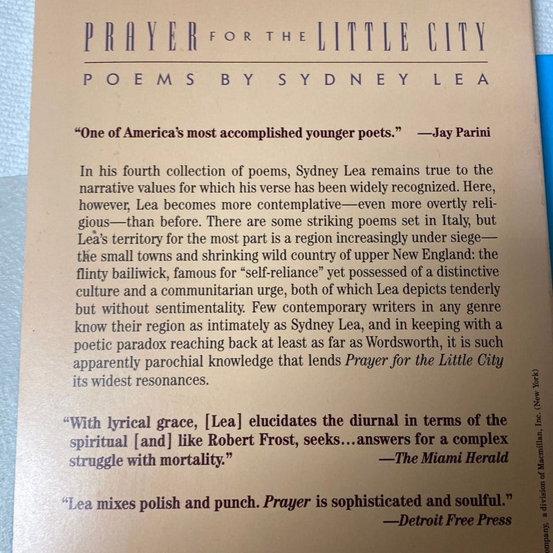 Prayer for the Little City