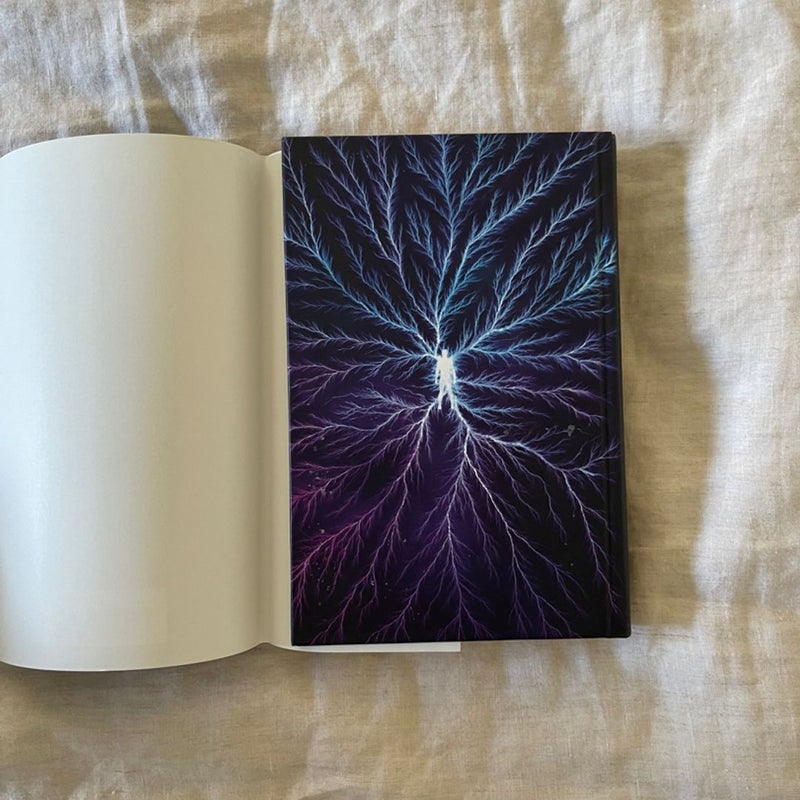 The Fever King first ed with hardcover art