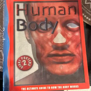 Human Body