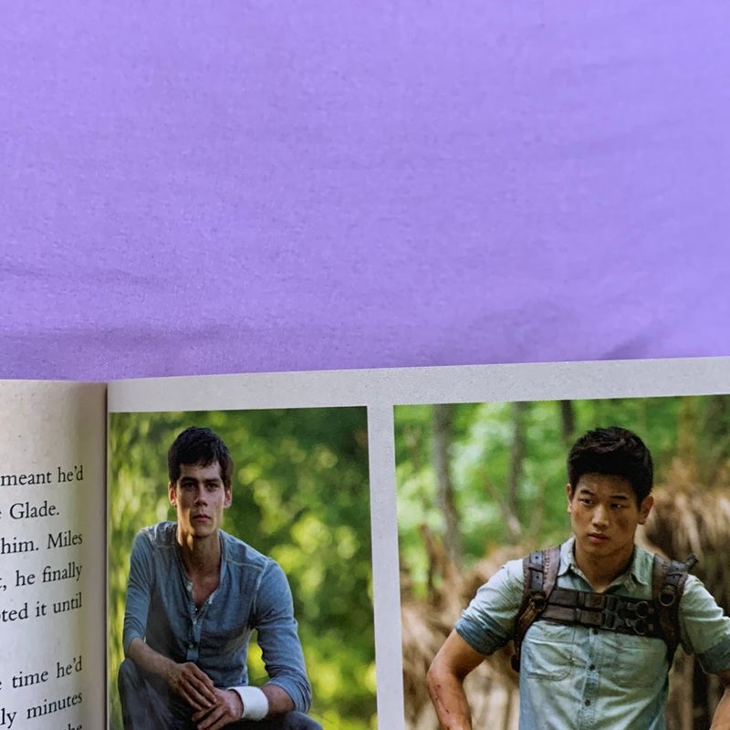 The Maze Runner