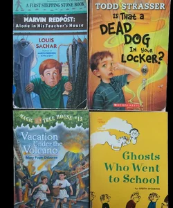 Lot of 4 Children's Chapter Books Young Readers 