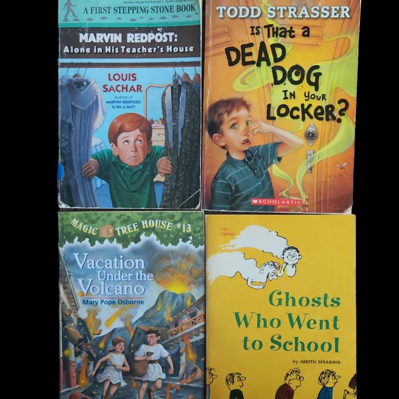 Lot of 4 Children's Chapter Books Young Readers 