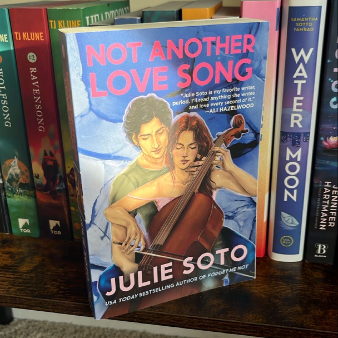 Not Another Love Song