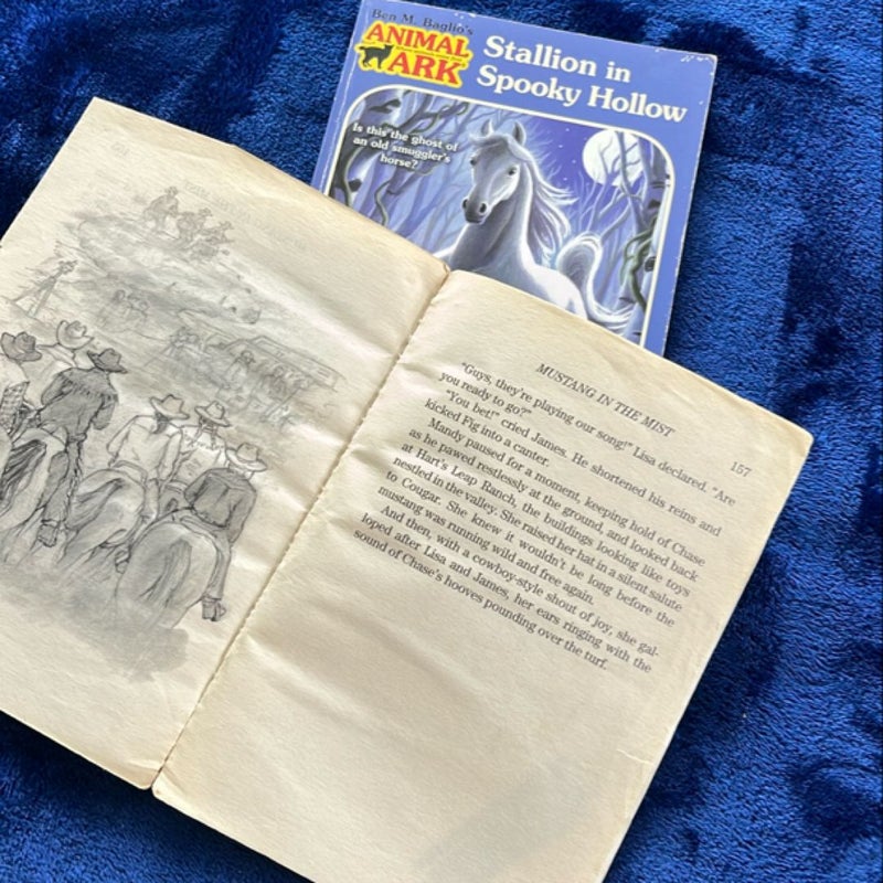 BOOK BUNDLE: Mustang in the Mist and Stallion in Spooky Hollow