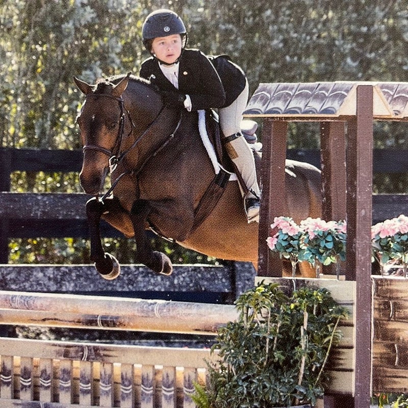 Judging Hunters and Equitation