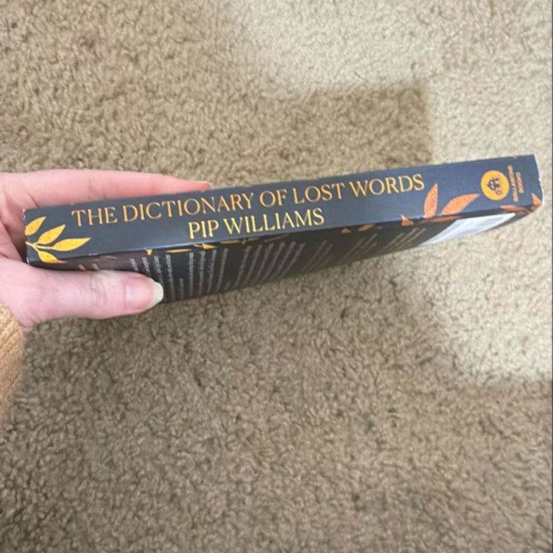 The Dictionary of Lost Words